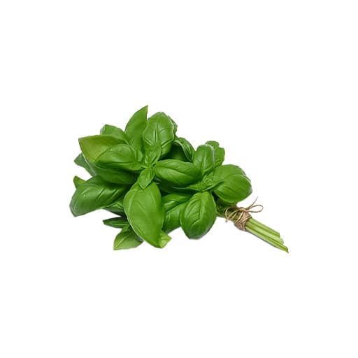 Fresh Scent Leaves Bunch — Bunch x 10