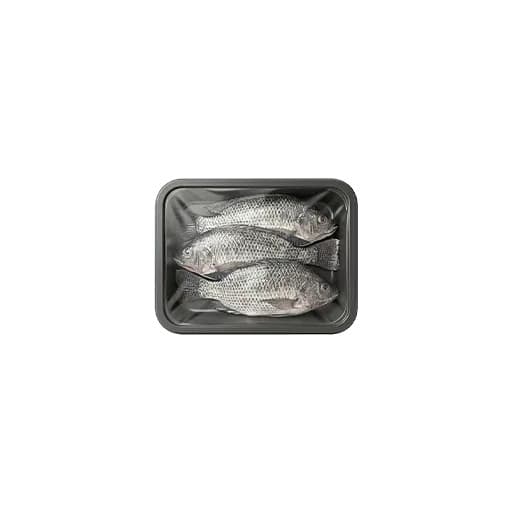 Tilapia 800-1000 (Large) — Single Bag