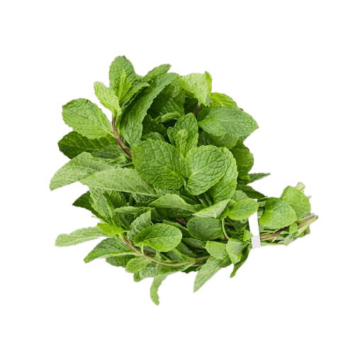 Fresh Scent Leaves Bunch — Bunch x 10