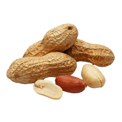 Fresh Peanut — Sack