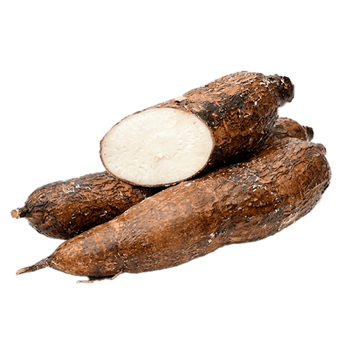 Fresh Cassava Tuber — Box