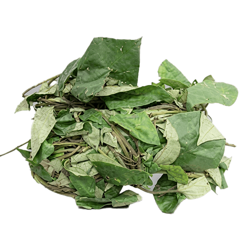 Fresh Utazi Bunch — Bunch x 10