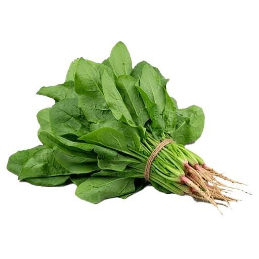 Fresh Spinach Bunch — Bunch x 10